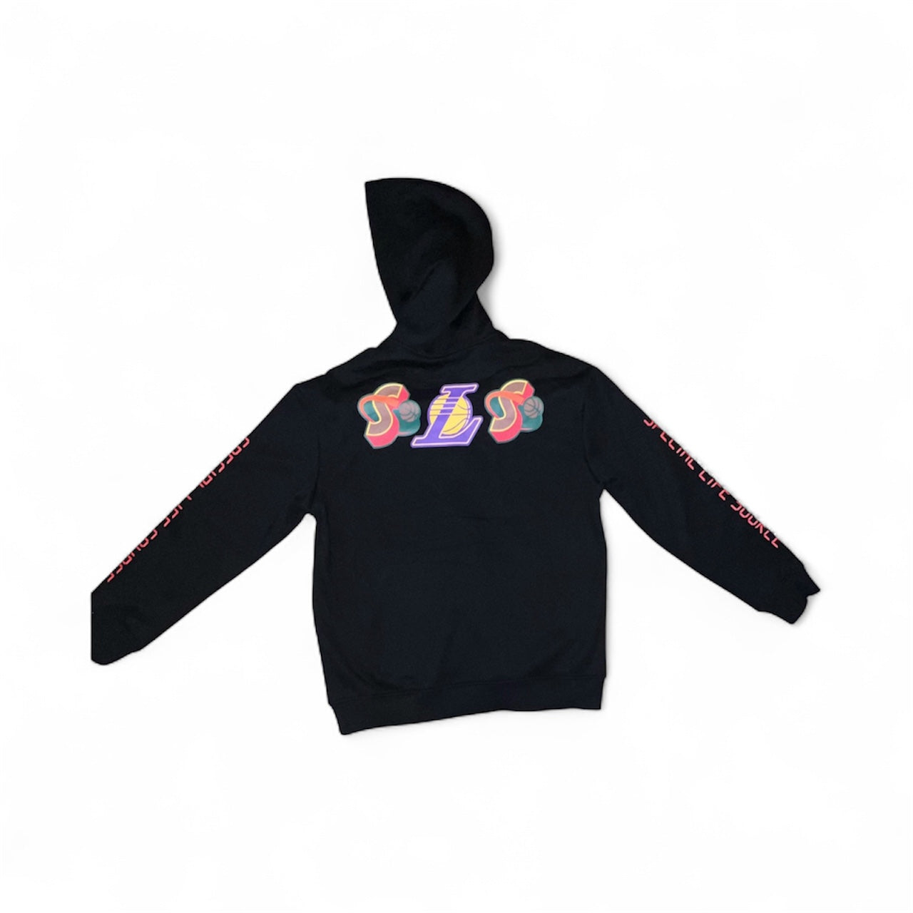 Special Life Source Hoodie
